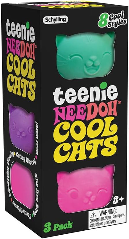 Schylling NeeDoh® Fidget Toy