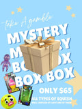 🎁 Mystery Fidget/ Squish Box 🎁