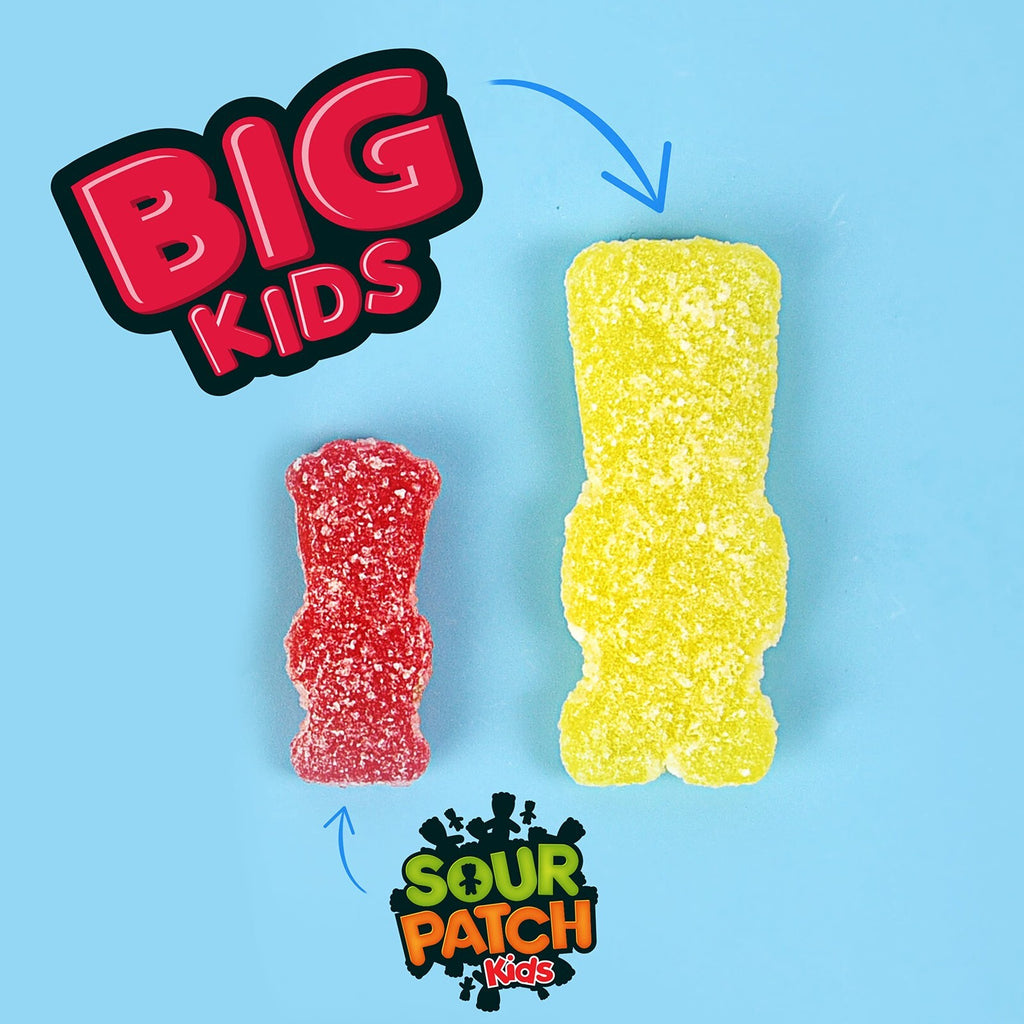 Sour Patch Kids Big Individually Wrapped Soft and Chewy Candy, 240 Count