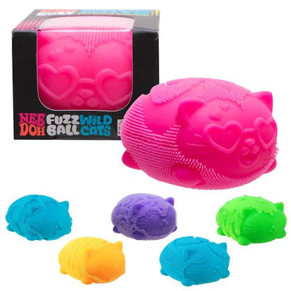 Schylling NeeDoh® Fidget Toy