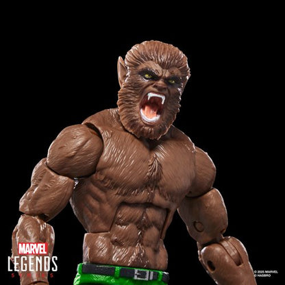 Marvel Legends Executioner Series 6-Inch Action Figures