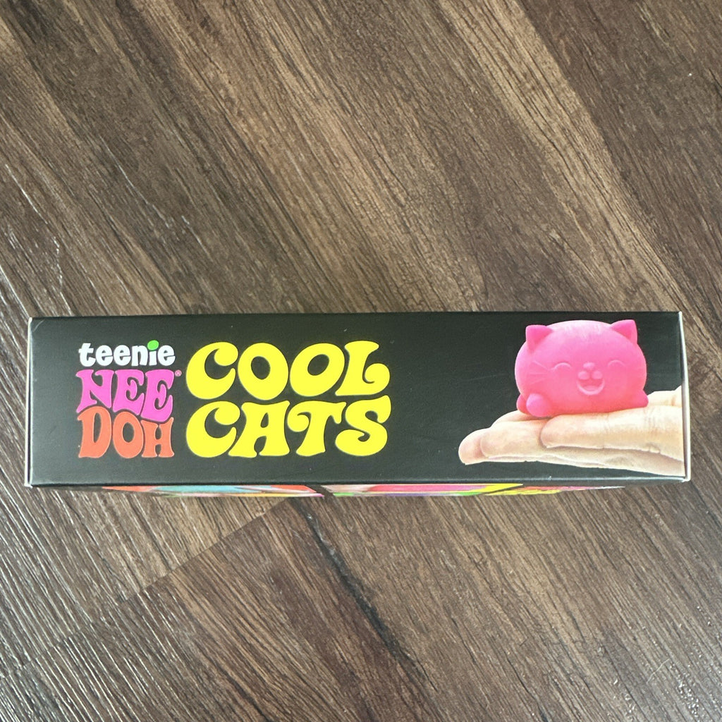 Schylling Teenie NeeDoh Cool Cats Tactile Squeeze Toy Set, 3+, 25112NAB
