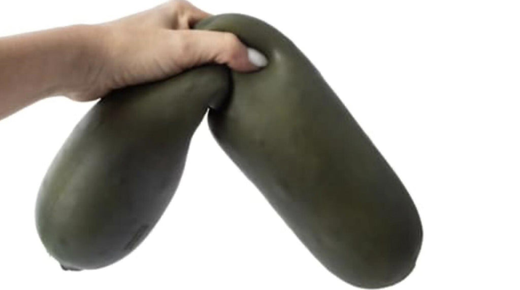 SmushMart Squishy Pickle - RMS - crazy fun - Five Below