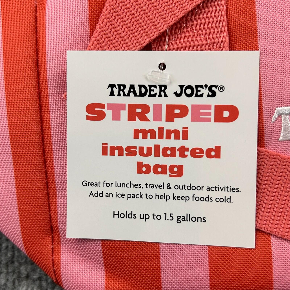 Trader Joes Mini Insulated Tote Bag Set of 6 Cooler Lunch Bags Summer 2026 NWT