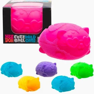 Schylling NeeDoh® Fidget Toy